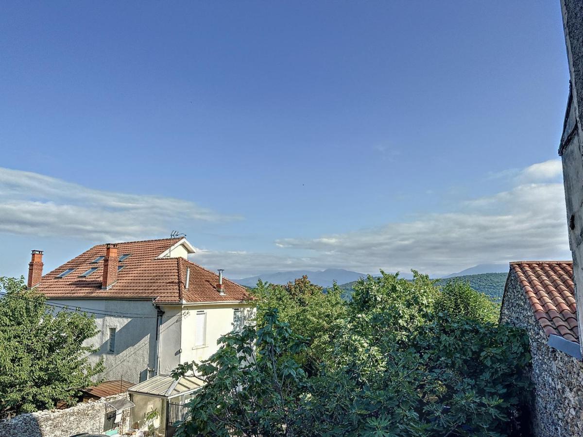 Maison Vue Pyrenees Centre Ville Saint Gaudens Eksteriør billede